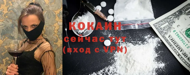 COCAIN VHQ Болхов