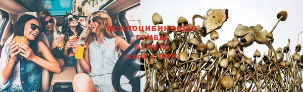 гидропоника Михайловка